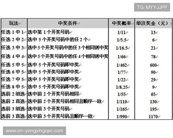 新浪彩票11选5玩法技巧深度解析与最新中奖趋势全面指南
